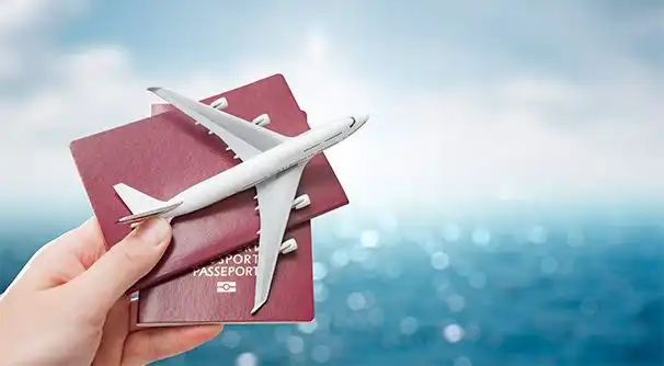 Travel document