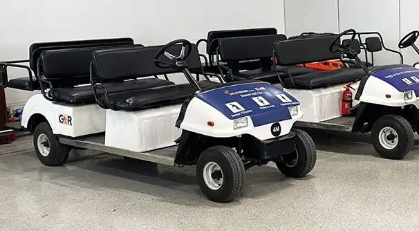 Buggy Services